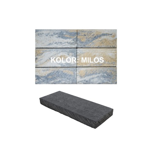 daszkiromaPerfect_milos.jpg