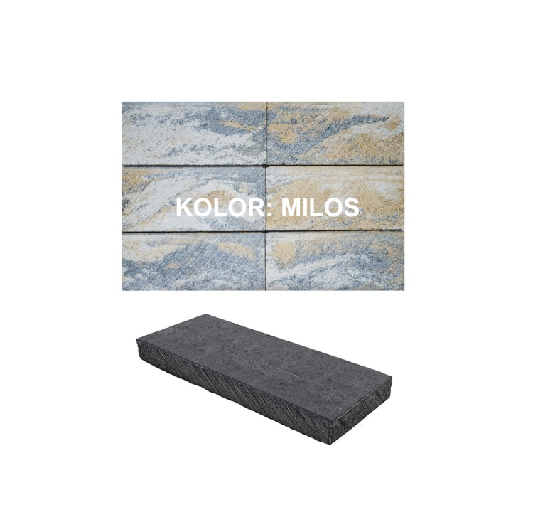 daszkiromaPerfect_milos.jpg